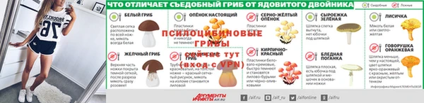 гидропоника Магас