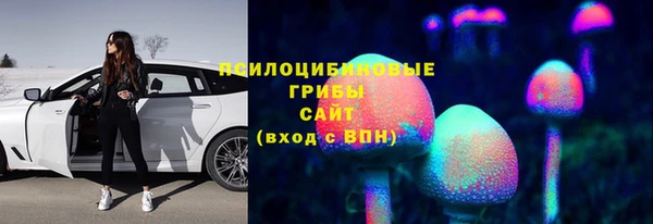 бошки Майский
