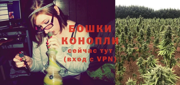 крисы Магадан
