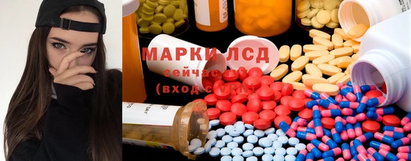 крисы Магадан