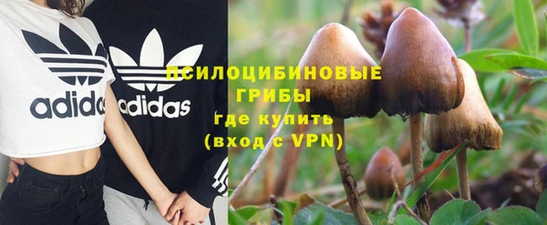 крисы Магадан