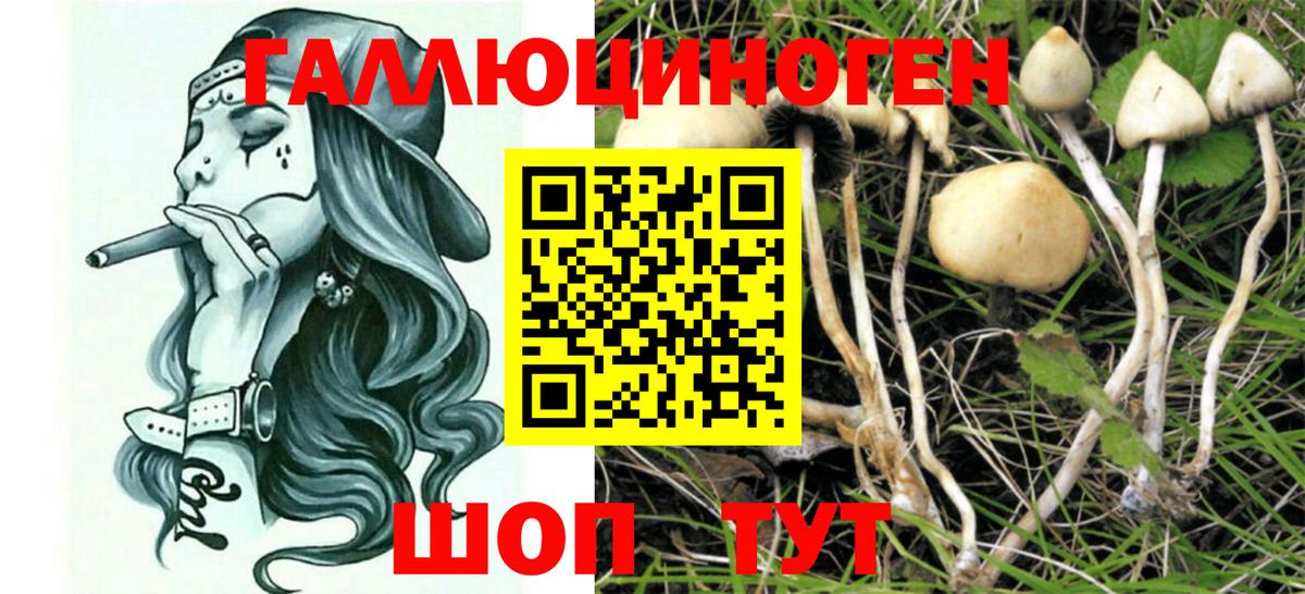 Псилоцибиновые грибы MAGIC MUSHROOMS Киров