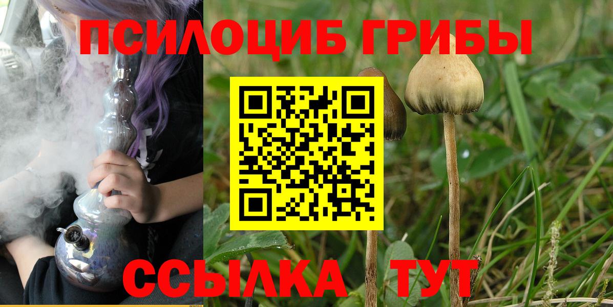 Псилоцибиновые грибы Psilocybe  Киров  Псилоцибиновые грибы MAGIC MUSHROOMS 