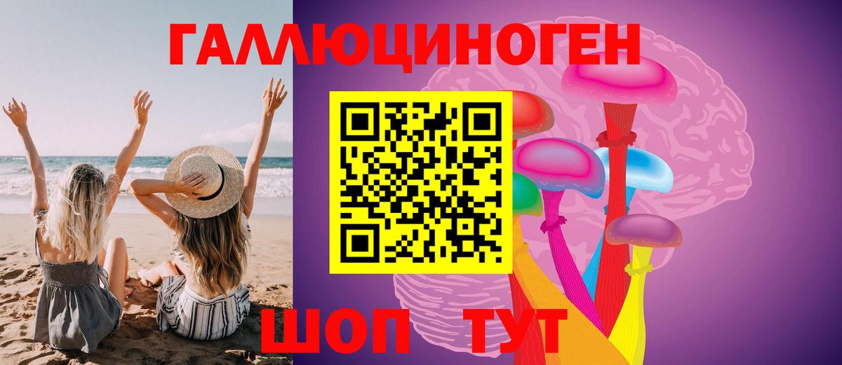 Киров  Галлюциногенные грибы Psilocybe  Вход с VPN 